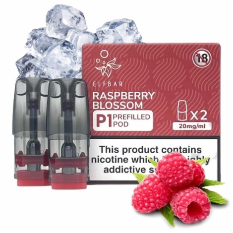10x Elf Bar - Mate 500 P1 Raspberry Blossom