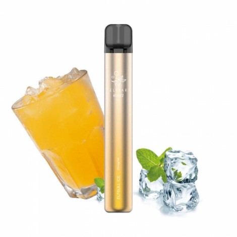 Elf Bar 600 v2 - Elfbull Ice