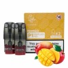 10x Elf Bar - Mate 500 P1 Mango